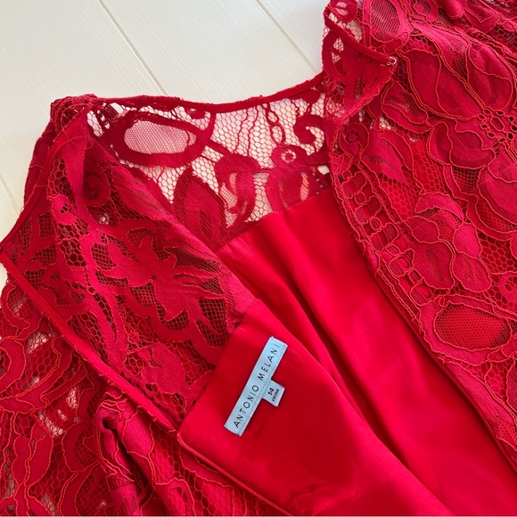 Antonio Melani Lace Midi Dress Womens 14 Red Floral Half Sleeve - Picture 5 of 12